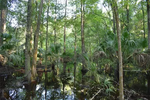 Middle Road, Hilliard, FL 32046 photo 24