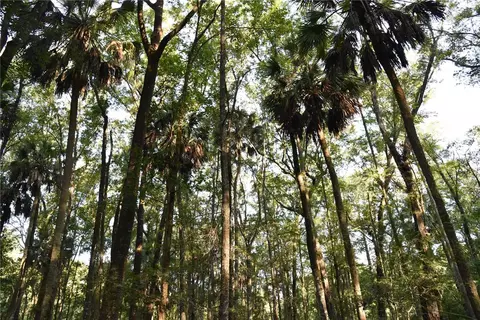Middle Road, Hilliard, FL 32046 photo 19