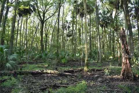 Middle Road, Hilliard, FL 32046 photo 22
