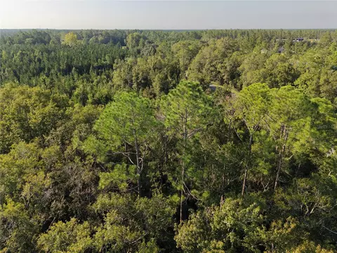 Middle Road, Hilliard, FL 32046 photo 3