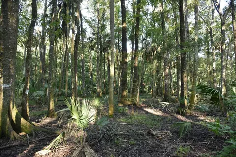 Middle Road, Hilliard, FL 32046 photo 21
