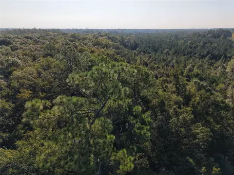 Middle Road, Hilliard, FL 32046 photo 44