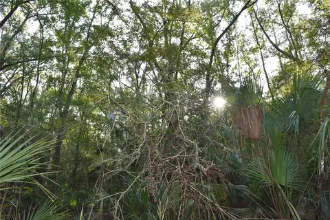 Middle Road, Hilliard, FL 32046 photo 9
