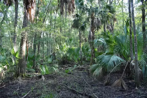 Middle Road, Hilliard, FL 32046 photo 12