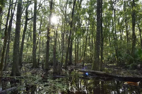 Middle Road, Hilliard, FL 32046 photo 26