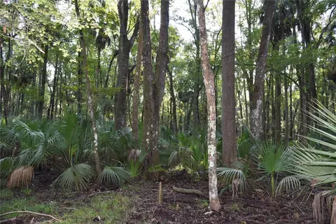 Middle Road, Hilliard, FL 32046 photo 20