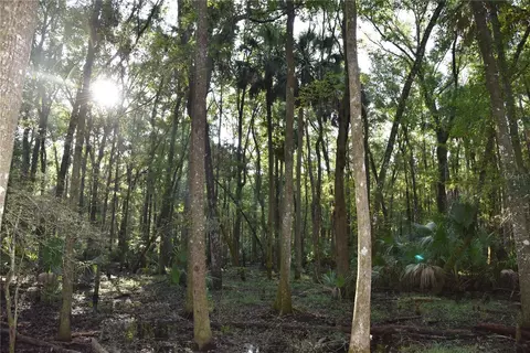 Middle Road, Hilliard, FL 32046 photo 23