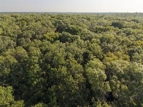 Middle Road, Hilliard, FL 32046 photo 45