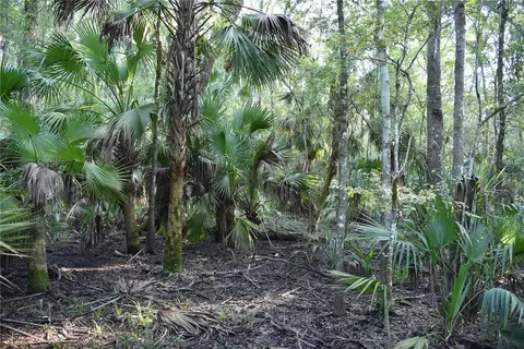 Middle Road, Hilliard, FL 32046 photo 10