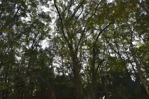 Middle Road, Hilliard, FL 32046 photo 11