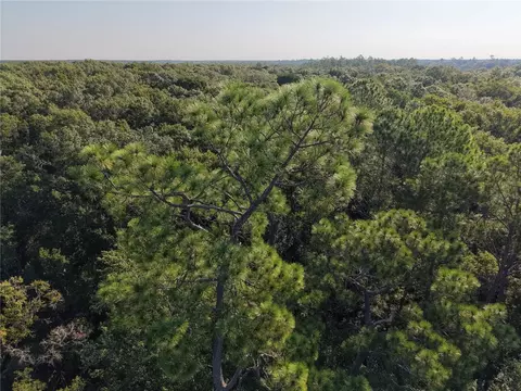 Middle Road, Hilliard, FL 32046 photo 41