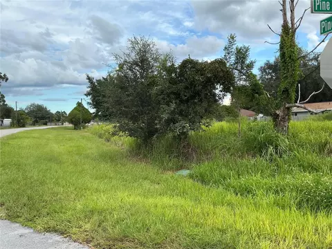 Pine Course Run, Ocala, FL 34472 photo 6