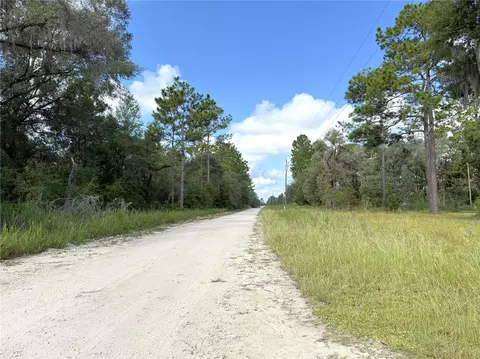 12451 NE 15th St, Williston, FL 32696 photo 15