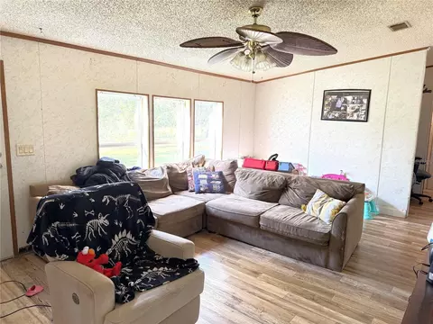 12451 NE 15th St, Williston, FL 32696 photo 7