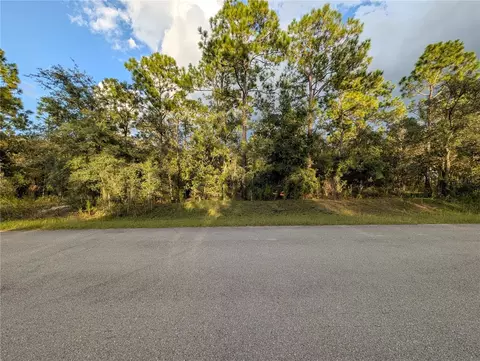 NW Buena Vista Road, Dunnellon, FL 34431