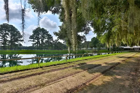 Other - 13450 NW Gainesville Rd #OPTION 2, Reddick, FL 32686 photo 16 of 28