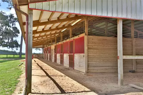 Other - 13450 NW Gainesville Rd #OPTION 2, Reddick, FL 32686 photo 8 of 28