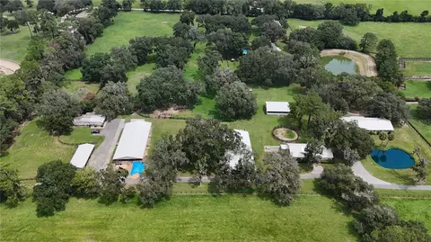 View/Area - 13450 NW Gainesville Rd #OPTION 2, Reddick, FL 32686 photo 5 of 8