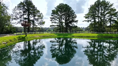 View/Area - 13450 NW Gainesville Rd #OPTION 2, Reddick, FL 32686 photo 7 of 8