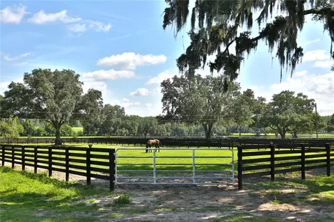 Other - 13450 NW Gainesville Rd #OPTION 2, Reddick, FL 32686 photo 13 of 28