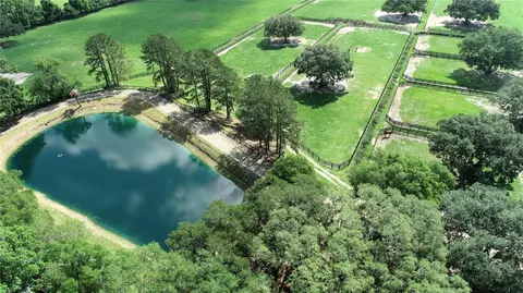 View/Area - 13450 NW Gainesville Rd #OPTION 2, Reddick, FL 32686 photo 8 of 8