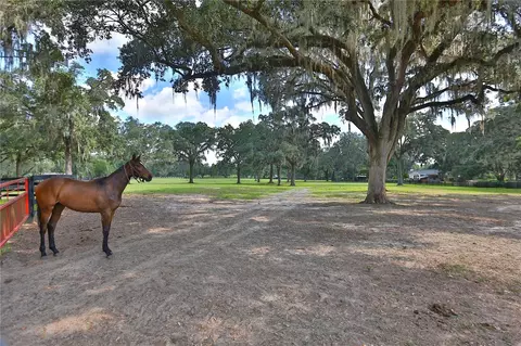 Other - 13450 NW Gainesville Rd #OPTION 2, Reddick, FL 32686 photo 12 of 28