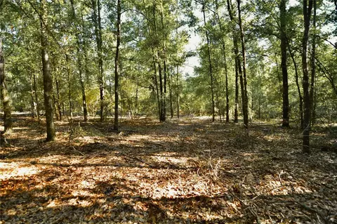00 SW 40th Ave, Jasper, FL 32052 photo 2