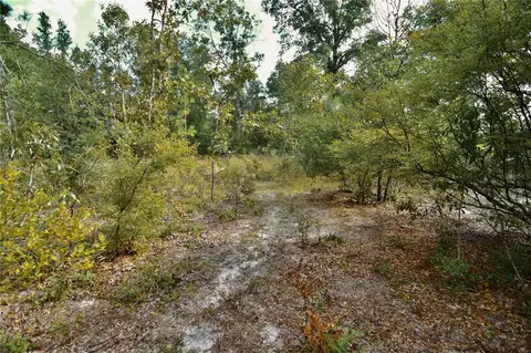 00 SW 40th Ave, Jasper, FL 32052 photo 25