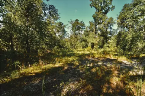 00 SW 40th Ave, Jasper, FL 32052 photo 45
