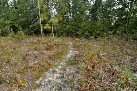 00 SW 40th Ave, Jasper, FL 32052 photo 11