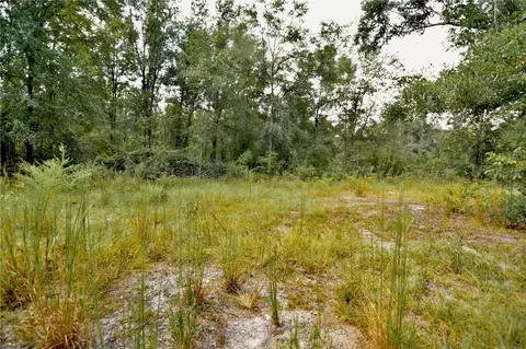 00 SW 40th Ave, Jasper, FL 32052 photo 20