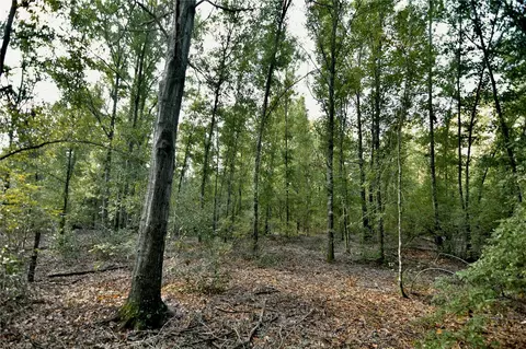 00 SW 40th Ave, Jasper, FL 32052 photo 76