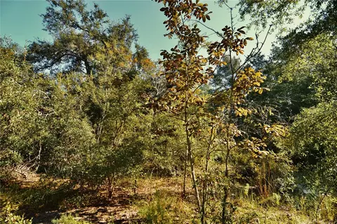 00 SW 40th Ave, Jasper, FL 32052 photo 38
