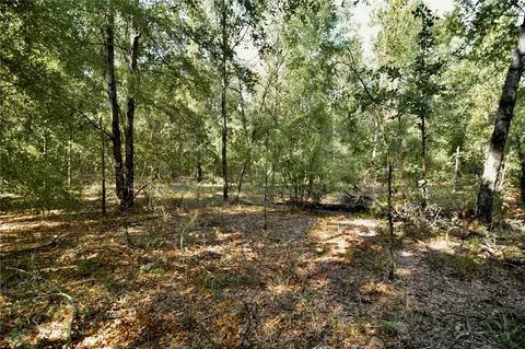 00 SW 40th Ave, Jasper, FL 32052 photo 33