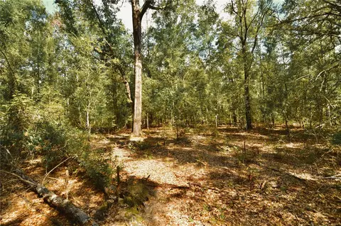 00 SW 40th Ave, Jasper, FL 32052 photo 16