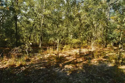 00 SW 40th Ave, Jasper, FL 32052 photo 59