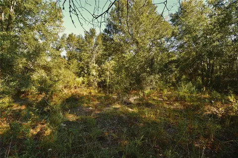 00 SW 40th Ave, Jasper, FL 32052 photo 42
