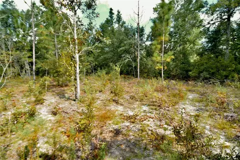 00 SW 40th Ave, Jasper, FL 32052 photo 67