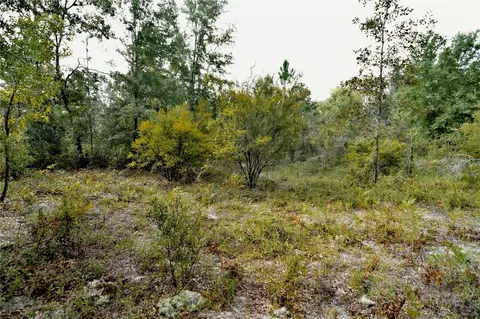 00 SW 40th Ave, Jasper, FL 32052 photo 27
