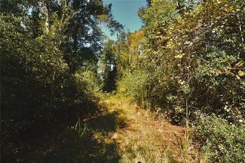 00 SW 40th Ave, Jasper, FL 32052 photo 32