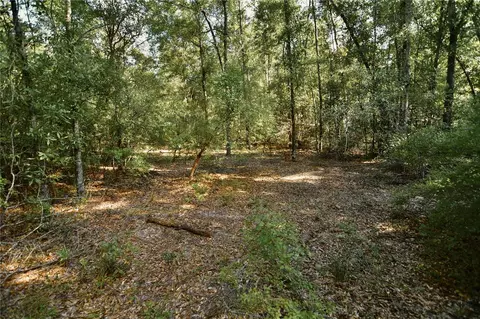00 SW 40th Ave, Jasper, FL 32052 photo 63