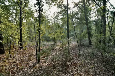 00 SW 40th Ave, Jasper, FL 32052 photo 55