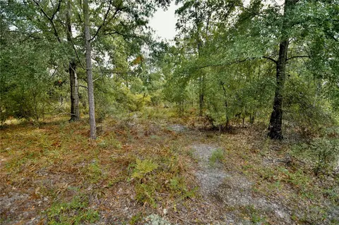 00 SW 40th Ave, Jasper, FL 32052 photo 26