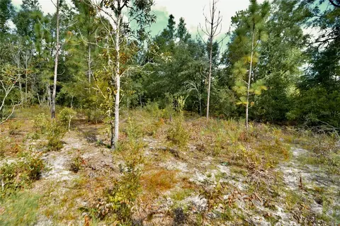 00 SW 40th Ave, Jasper, FL 32052 photo 49