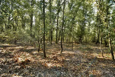 00 SW 40th Ave, Jasper, FL 32052 photo 47