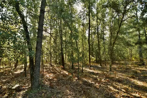 00 SW 40th Ave, Jasper, FL 32052 photo 58