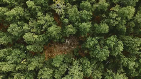 00 SW 40th Ave, Jasper, FL 32052 photo 70