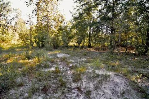 00 SW 40th Ave, Jasper, FL 32052 photo 39