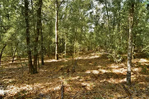 00 SW 40th Ave, Jasper, FL 32052 photo 68