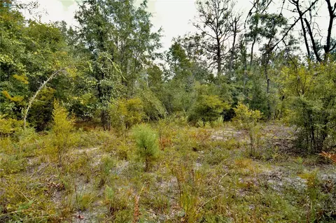 00 SW 40th Ave, Jasper, FL 32052 photo 65
